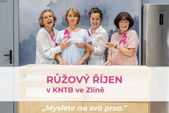 Růžový říjen (20 x 15 cm) (20 x 16 cm) - 1